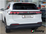 2025 VOLKSWAGEN TIGUAN * 252 * COMMERCIAL * EDITION 75 * AVAILABLE TO ORDER * TRINITY VOLKSWAGEN *
