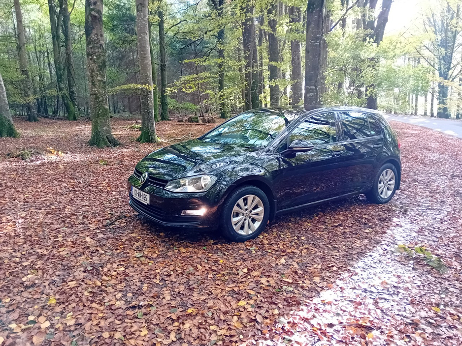 2017 Volkswagen Golf For Sale Images