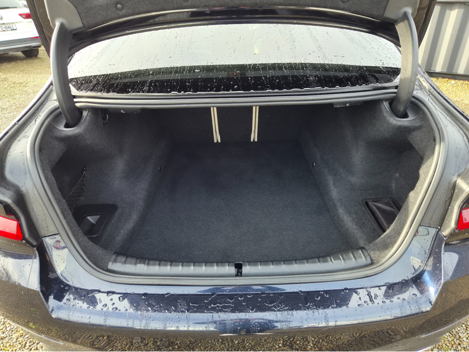 2021 BMW 5 Series 2L Diesel For Sale Images