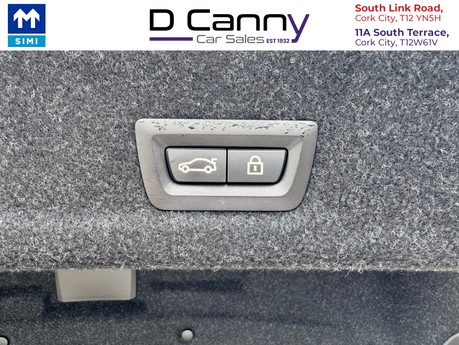 2021 BMW 3 Series 2L Diesel For Sale Images