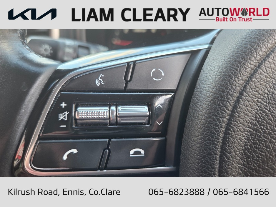 Kia Sportage K3 MHEV SPEC SPECIAL ED 5DR — thumbnail 20