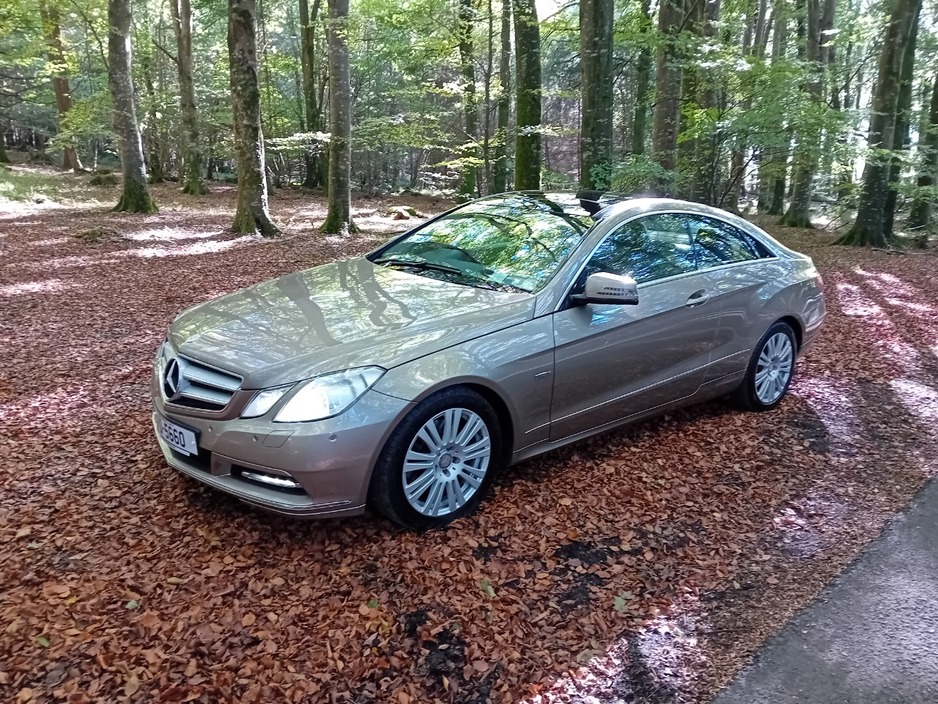 Used Mercedes-Benz E-Class 2011 in Laois