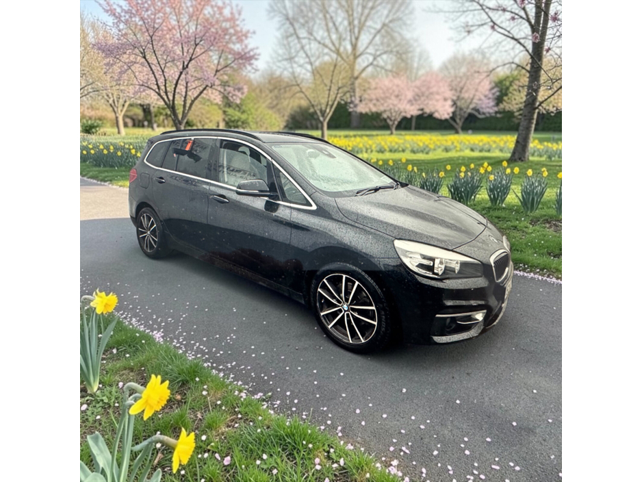 2015 BMW 2 Series 1.5L Petrol For Sale Images