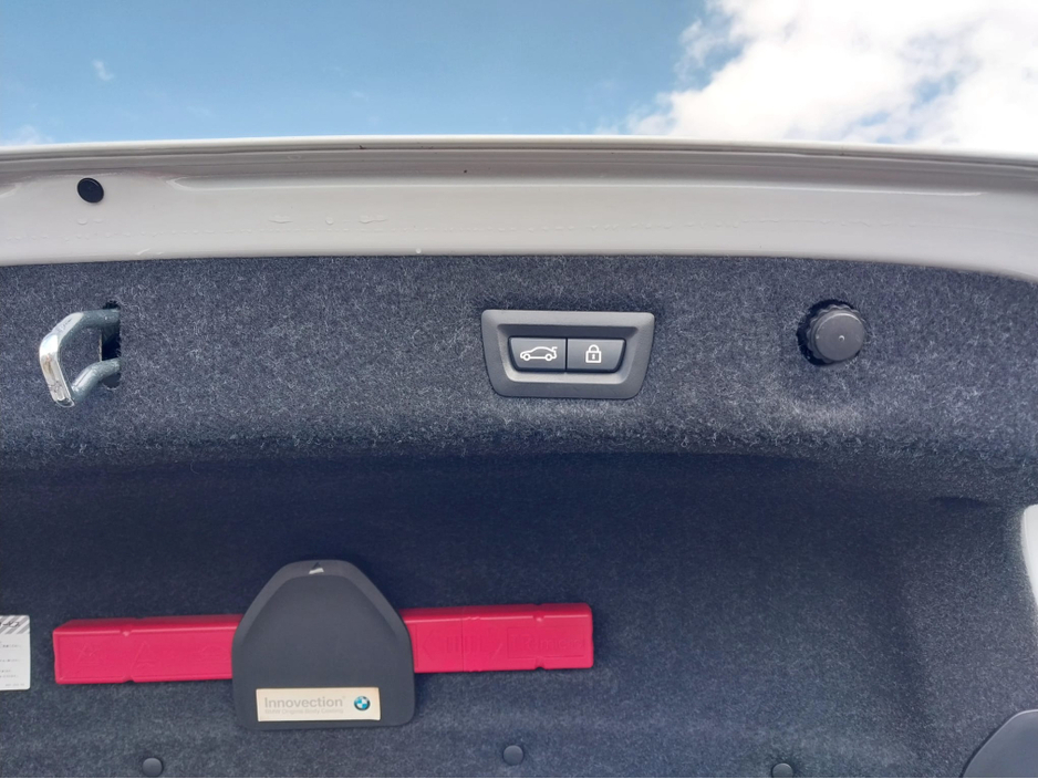 2017 BMW 5 Series 2L Diesel For Sale Images