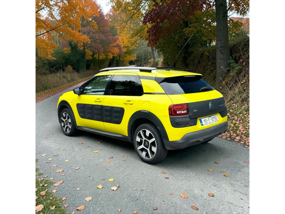 2016 Citroen C4 Cactus 1.2L Petrol For Sale Images