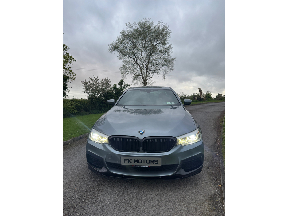 2020 BMW 5 Series 2.0L Diesel For Sale Images
