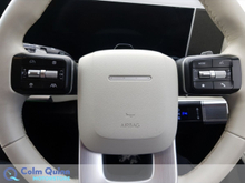 2025 Hyundai Santa Fe 1.6L Petrol Plug-in Hybrid For Sale Images