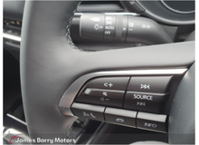2025 Mazda CX-30 2.0L Petrol For Sale Images