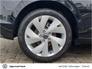 2025 VOLKSWAGEN GOLF GOLF EDITION 75 1.5 TSI 116HP