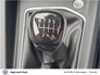 2025 VOLKSWAGEN GOLF GOLF EDITION 75 1.5 TSI 116HP