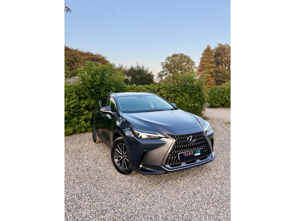 2025 Lexus NX 450 h+