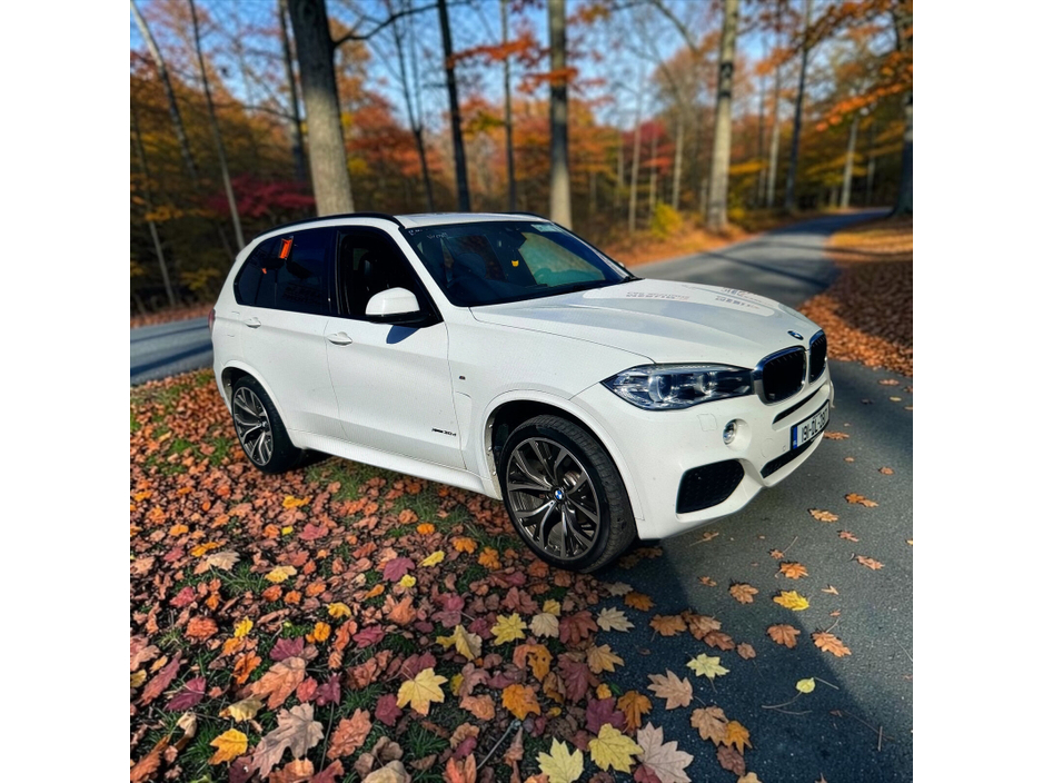2019 BMW X5 3L Diesel For Sale Images