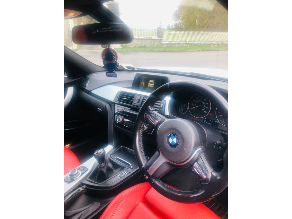 2017 BMW 3 Series 2.0L Diesel from RS Motor Car Sales LTD CarsIreland.ie