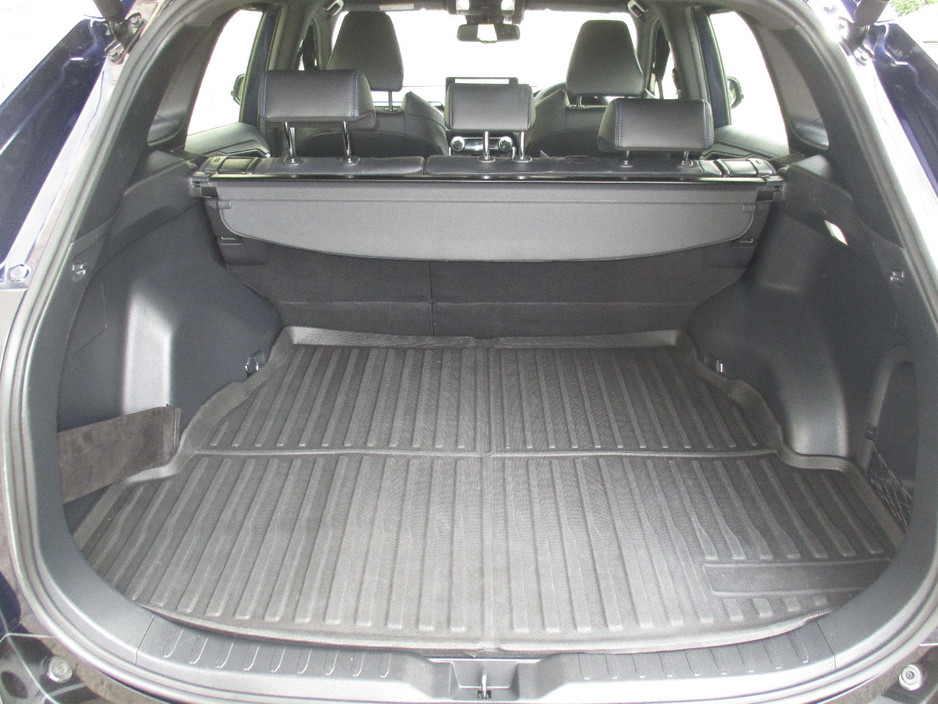 2025 Toyota Rav4 2.5L Petrol Hybrid For Sale Images