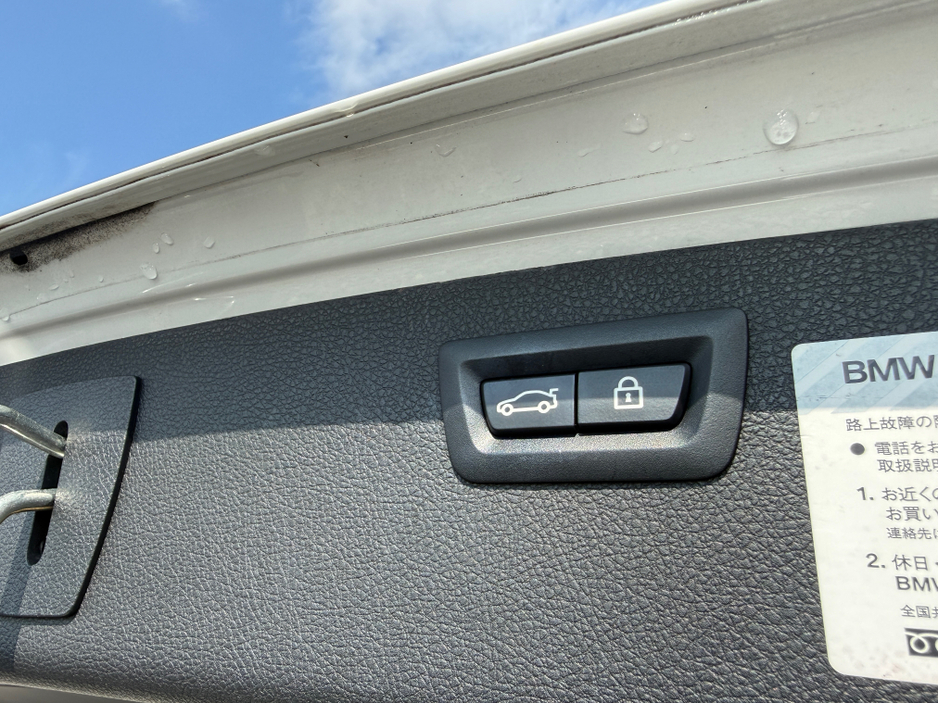 2013 BMW 3 Series 2L Diesel For Sale Images