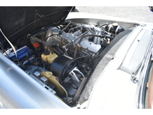 1967 Mercedes-Benz 250 2.5L Petrol For Sale Images