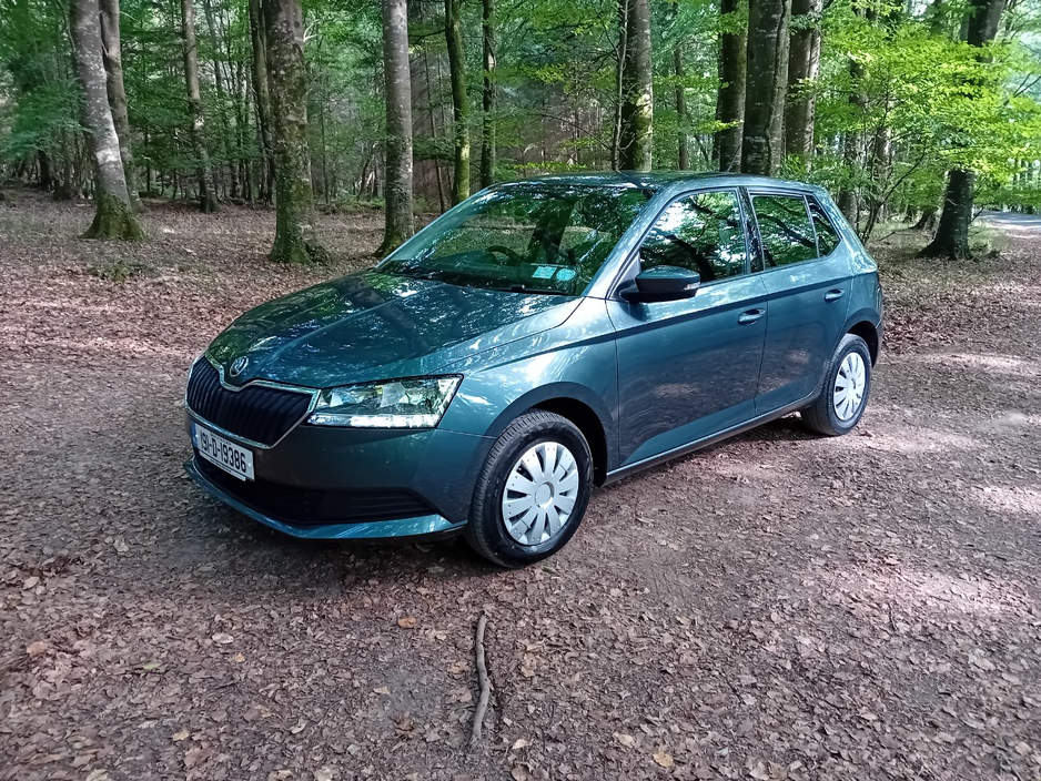 Used Skoda Fabia 2019 in Laois