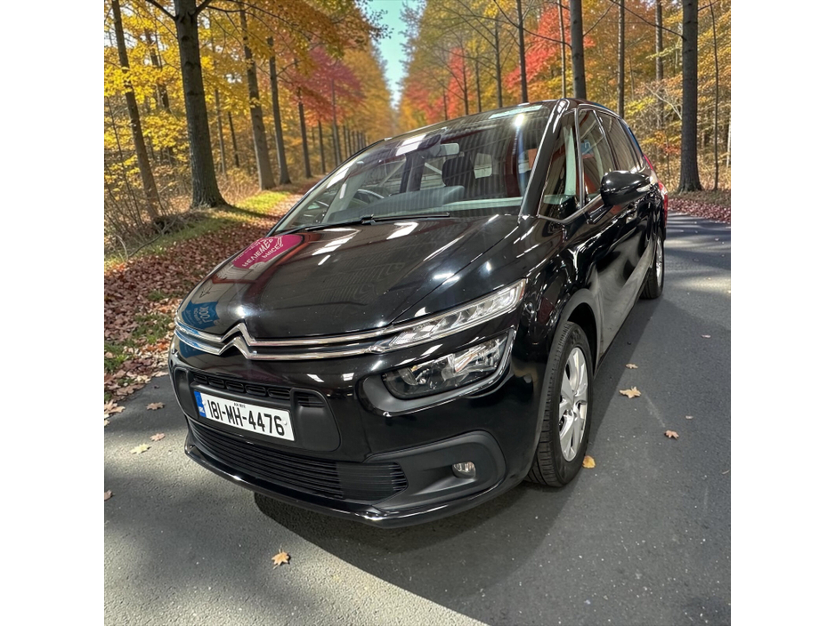 Citroen C4 BlueHDi 100 Touch — thumbnail 12