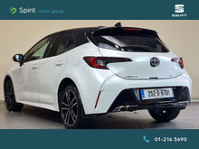 Enhanced Search Image