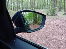 2022 Skoda Kodiaq 2L Diesel For Sale Images