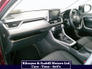 2020 TOYOTA RAV4 RAV4 HYBRID LUNA 2WD 4DR AUTO
