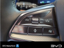 2026 Byd SEALION 7 Finance Rates from 3.5% Order Now for 261 Delivery. COMFORT MODEL - 82.5kWh Blade Battery, 308HP up to 482km range. Features include 19