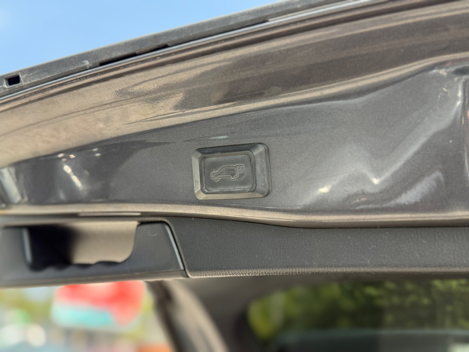 2019 Toyota Rav4 2.5L Petrol Hybrid For Sale Images