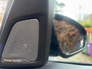 2015 BMW M5  *F.BMW.S.H…Immaculate Example*