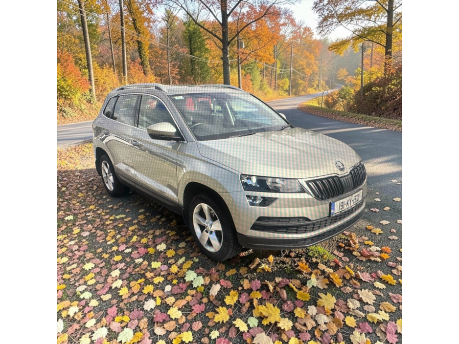 2019 Skoda Karoq 1L Petrol For Sale Images
