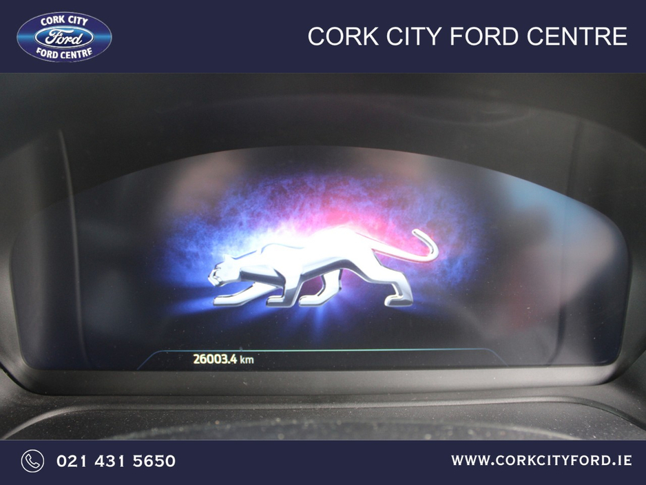 Ford Puma ST-LINE 5DR 1.0T 125 MHEV — thumbnail 18