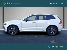 Enhanced Search Image