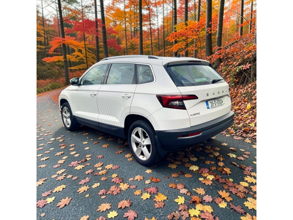 2021 Skoda Karoq 1.6L Diesel For Sale Images
