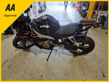 2023 Aprilia Tuono 0.9L Petrol For Sale Images