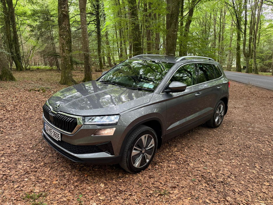 Used Skoda Karoq 2022 in Laois