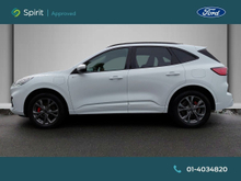 Enhanced Search Image
