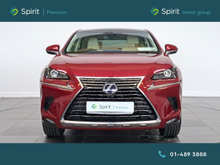 Enhanced Search Image
