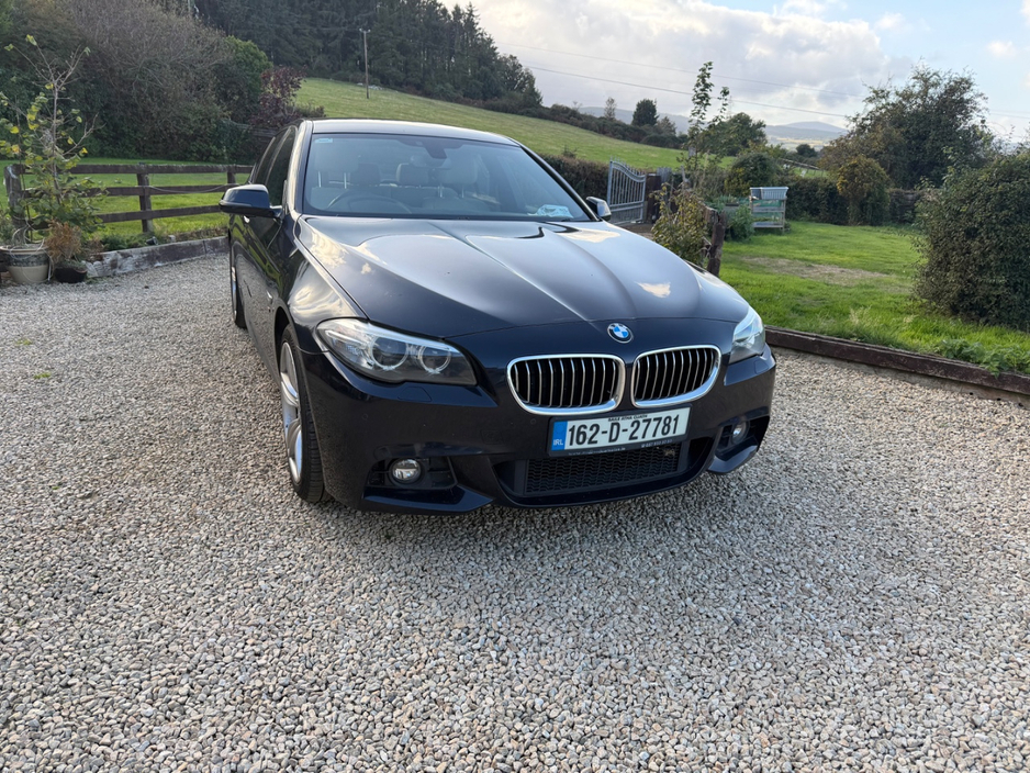 2016 BMW 5 Series 2L Diesel For Sale Images