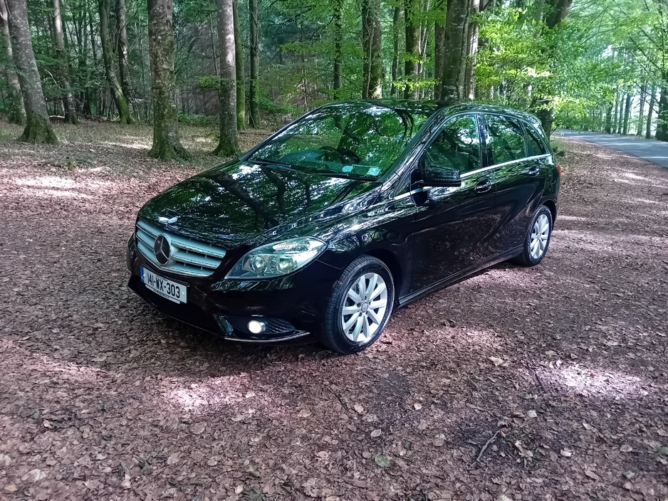 Used Mercedes-Benz B-Class 2014 in Laois