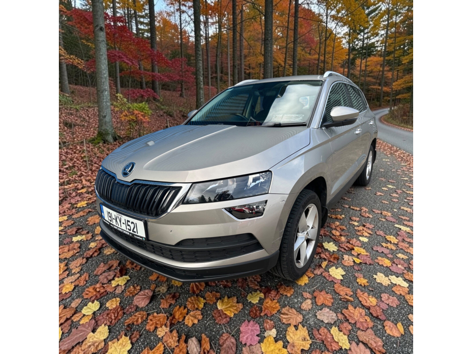 2019 Skoda Karoq For Sale Images