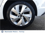 2025 VOLKSWAGEN GOLF GOLF EDITION 75 1.5 TSI 116HP