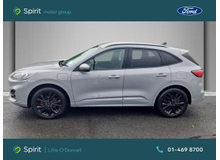 Enhanced Search Image
