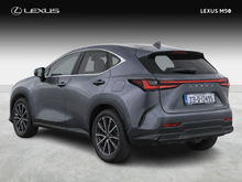 Enhanced Search Image