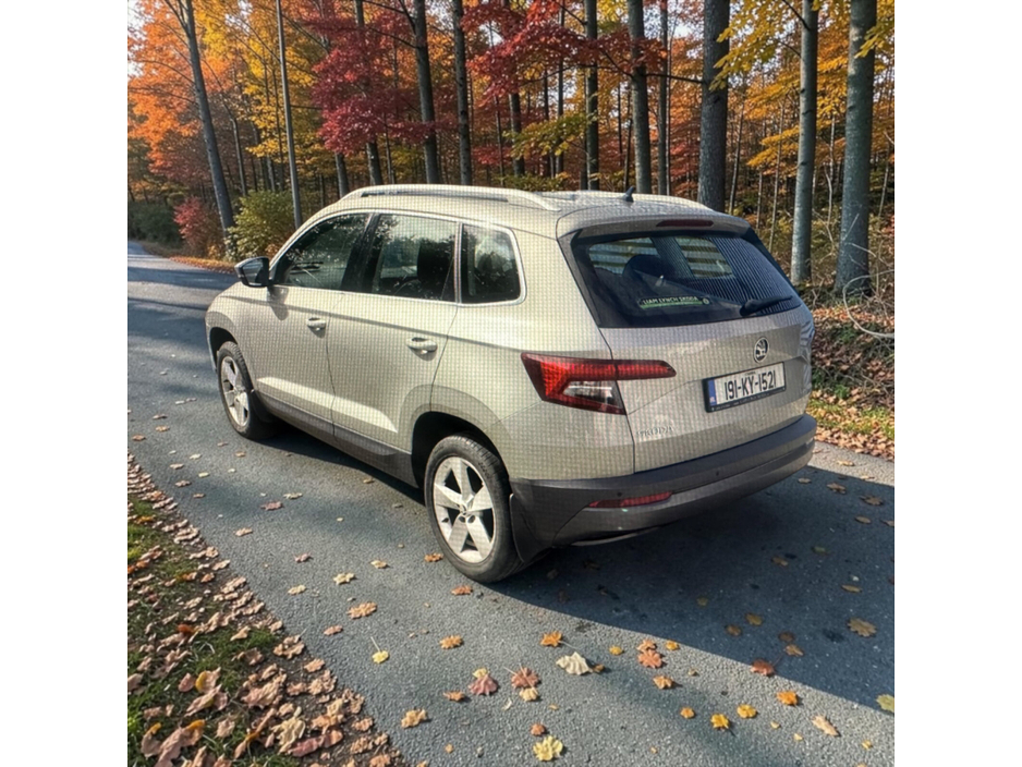 2019 Skoda Karoq 1L Petrol For Sale Images