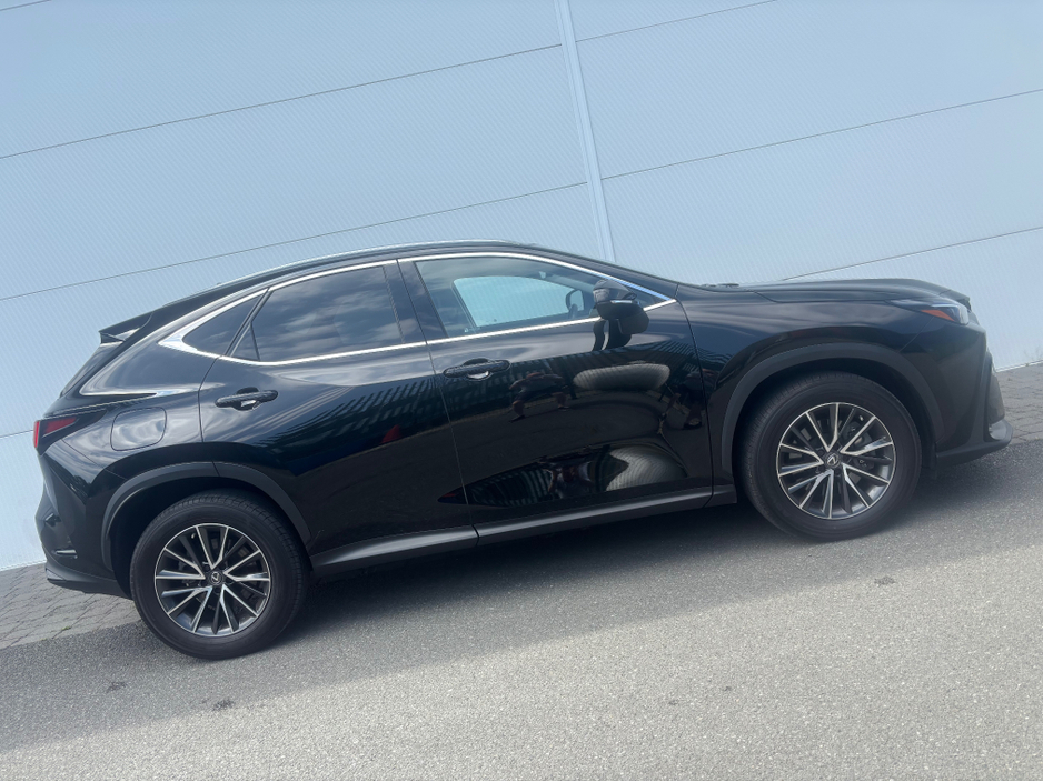 2023 Lexus NX 450 h+ 2.5L Hybrid For Sale Images