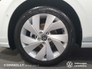 2025 VOLKSWAGEN GOLF Edition 75 2.0 TDI 116 HP *From €322.79