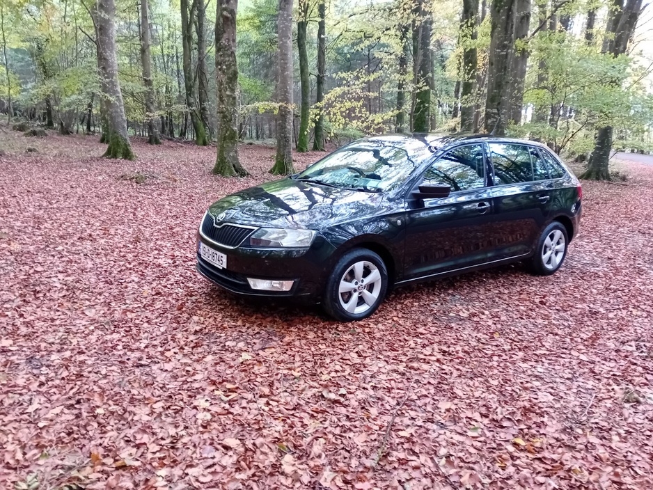 Used Skoda Rapid 2015 in Laois