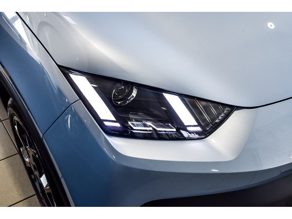 2026 BYD Dolphin Surf 0L Electric For Sale Images